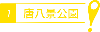 唐八景公演