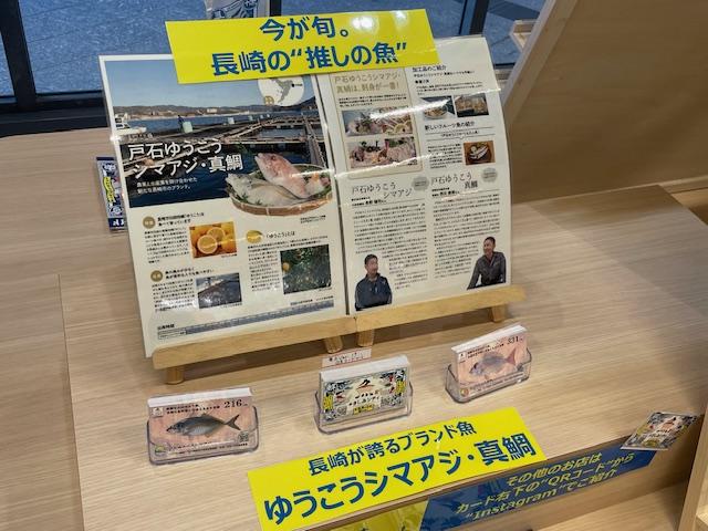 長崎おすすめの魚　ゆうこうシマアジとゆうこう真鯛-1